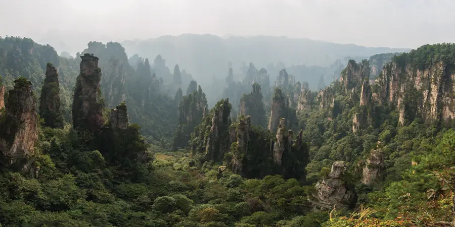Steep sandstone pillars with trees on top in Zhangjiajie